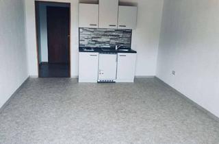 1-Zimmer-Wohnung in Brachttal mit Balkon in Brachttal