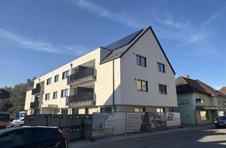Erstbezug Service-Wohnen: Hochwertige altersgerechte, barrierefreie 2-Zimmer Dachgeschosswohnung in Dinkelscherben