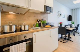Wohnliches 1-Zimmer-Apartment, voll m&ouml;bliert &amp; ausgestattet in Hainburg in Hainburg