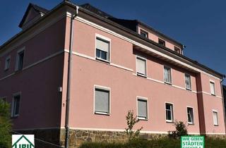 1-Raum-Wohnung mit Hausgarten in Waldheim