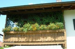 Sch&ouml;ne, ger&auml;umige zwei Zimmer Wohnung in Miesbach (Kreis), Otterfing in Otterfing