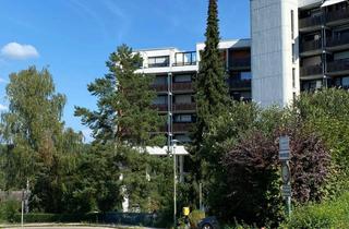 NEU-Penthousewohnung mit hausinternem Schwimmbad und Stellplatz neu renoviert zu vermieten in Riedenburg