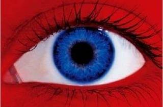 Wohnen mit Flair - Zi-2,5-1.OG -Whg - Odelzhausen - Orteil / BAB A8 M&uuml;nchen Augsburg (mittig) in Odelzhausen