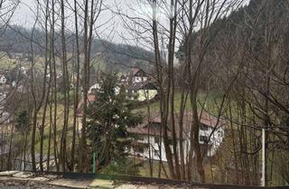 Barrierearme 1-Zimmer Wohnung im EG in Warmensteinach in Warmensteinach