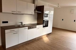 Gem&uuml;tliches 1-Zimmer-Apartment in Jettingen-Scheppach in Jettingen-Scheppach