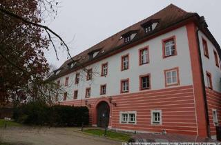 Denkmalgesch&uuml;tzte 2 ZKB Wohnung im wundersch&ouml;nen Wasserschloss Gebelkofen in Obertraubling