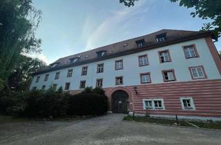 Denkmalgesch&uuml;tzte 2 ZKB Wohnung im Wasserschloss Gebelkofen in Obertraubling