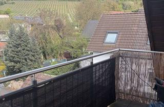 2-Zimmer-Wohnung mit Blick auf die Weinberge in Alzenau-H&ouml;rstein in Alzenau