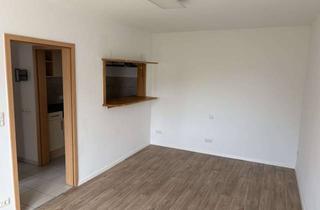 sch&ouml;nes 1 Zimmer Appartment mit kleiner K&uuml;che in Langweid am Lech