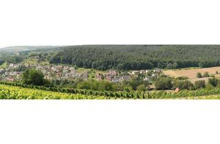 Ihre neue Wohlf&uuml;hloase im idyllischen Elsavatal ! in Elsenfeld