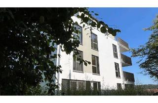 Hochwertig ausgestattete Traumwohnung zu vermieten in Aarbergen