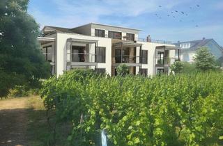 Neubauwohnung im Weindorf Nonnenhorn am Bodensee in Nonnenhorn