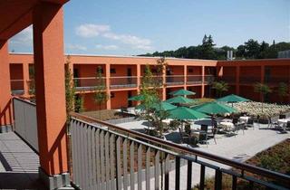Alltagstaugliches 1-Zimmer-Apartment in Kelkheim in Kelkheim (Taunus)