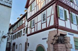 Wohnen am Neckar historisch modern DG in Hirschhorn (Neckar)