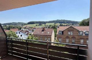 Frisch renovierte 4-Zimmer-Wohnung mit Balkon und herrlichem Ausblick in Wald-Michelbach in Wald-Michelbach