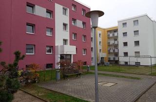 Ger&auml;umige 2-Zimmer-Wohnung in Pfungstadt in Pfungstadt