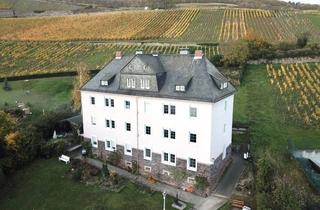 Drei Zimmer Wohnung in R&uuml;desheim mit wundersch&ouml;nem Rheinblick in Rüdesheim am Rhein