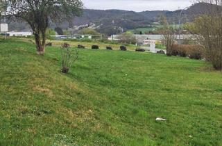 Kompakte 3 Zimmer-K&uuml;che-Bad Wohnung im DG ab sofort zu vermieten in Dautphetal