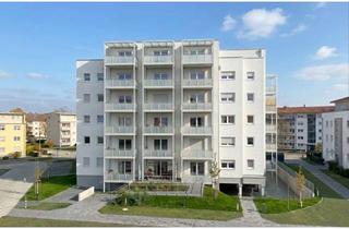 Gem&uuml;tliche 1 Zimmer Wohnung mit sch&ouml;nem Ausblick in Biebesheim am Rhein