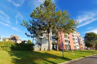 Helles gem&uuml;tliches 1,5 - Zimmer Apartment mit Balkon im Bayerischen Wald in Neureichenau