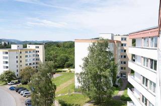 Sch&ouml;ne Wohnung mit Balkon zu tollem Preis!! Auch f&uuml;r WGs geeignet!WBS erforderlich in Meschede