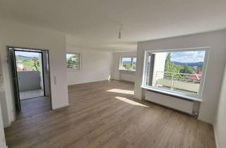 4-Zimmer-Wohnung mit Traumhaftem Blick in Lauf an der Pegnitz