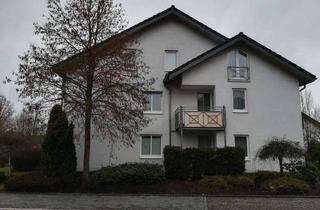 Modernisierte Single-Mietwohnung in Brilon! Hier werden Sie sich wohl f&uuml;hlen! in Brilon