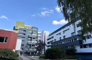 Sanierte 2 Zimmerwohnung im Zentrum von Bad Sassendorf! in Bad Sassendorf
