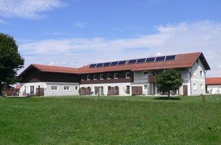 -Niedrigenergie-Wohnung mit Terrasse u. Garten in Altenmarkt an der Alz