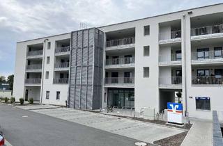 Neuwertige Dreizimmerwohnung in W&ouml;rth a.d. Donau in Wörth an der Donau