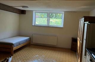 Attraktive, m&ouml;blierte 1-Raum-Wohnung mit EBK und Terrasse in Pfaffing 83539 in Pfaffing