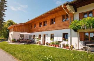 L&auml;ndlich und in idyllischer Alleinlage - 4 Zi. Maisonette-Wohnung am Irschenberg zu vermieten in Irschenberg