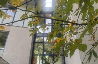 3 Zimmer, S&uuml;dbalkon, Blick ins Gr&uuml;ne &ndash; Zirndorf an der Alten Veste in Zirndorf