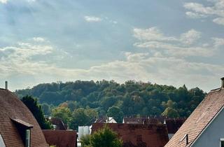 Freundliche 2,5-Zimmer-Wohnung in N&ouml;rdlingen in Nördlingen
