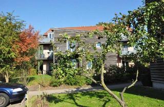 Lauenburg Stadtmitte Wohnung im Garten in Lauenburg/Elbe