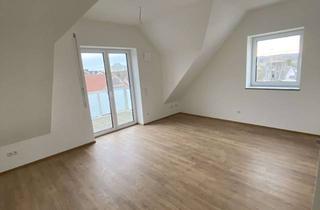 Alltagstaugliche 2-Zimmer-Wohnung in M&uuml;nsterhausen in Münsterhausen