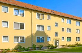 Mit neuem Bad und Laminatboden! Ideal f&uuml;r Singles und Paare ! 2-Zimmer-Wohnung in Ahlen in Ahlen