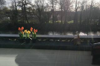 Wohnung mit Seeblick in Warendorf in Warendorf