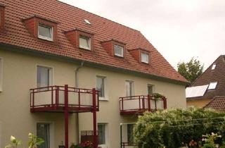 Charmante 2-Zimmer-Altbauwohnung mit Tageslichtbad in Herford in Herford