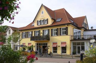 moderne 2-Zimmerwohnung mit Balkon im Herzen von Mettingen in Mettingen